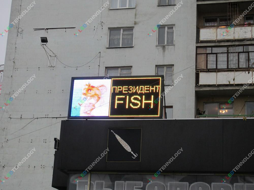 Видео светодиодной вывески Fish г. Екатеринбург