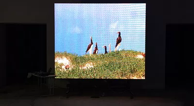 Светодиодный экран высокой плотности для МБОУ "Лицей №13", г. Ростов-на-Дону